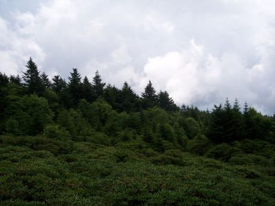 100_3951.JPG