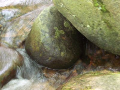 100_3968.JPG
